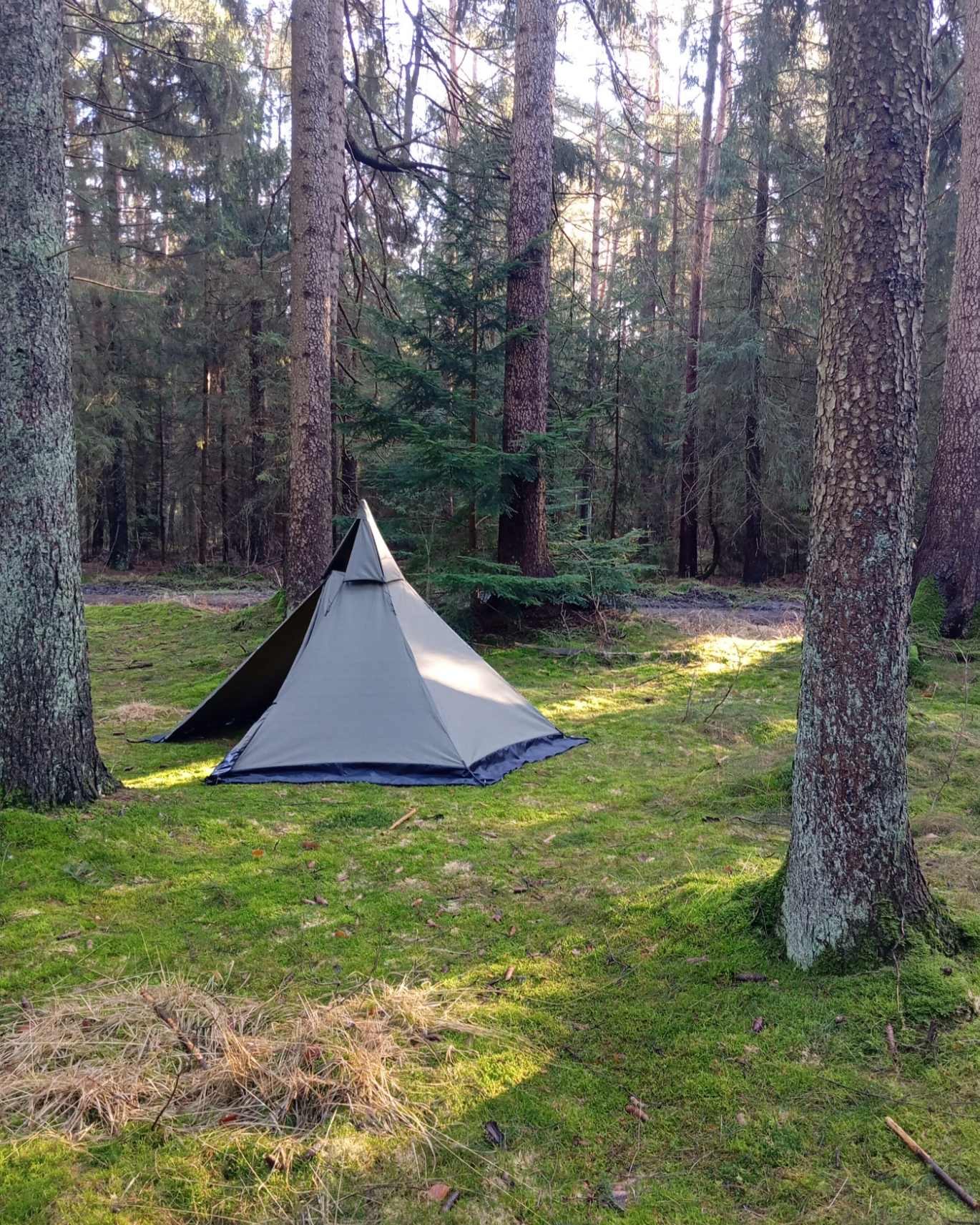 Nordic Wolf Canvas Tent 2P "RAIDO" - Olive Green