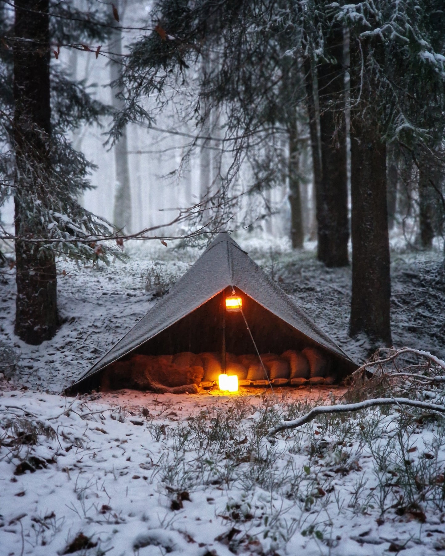 Lavvu tent "Tyr" canvas olive green for 1 person