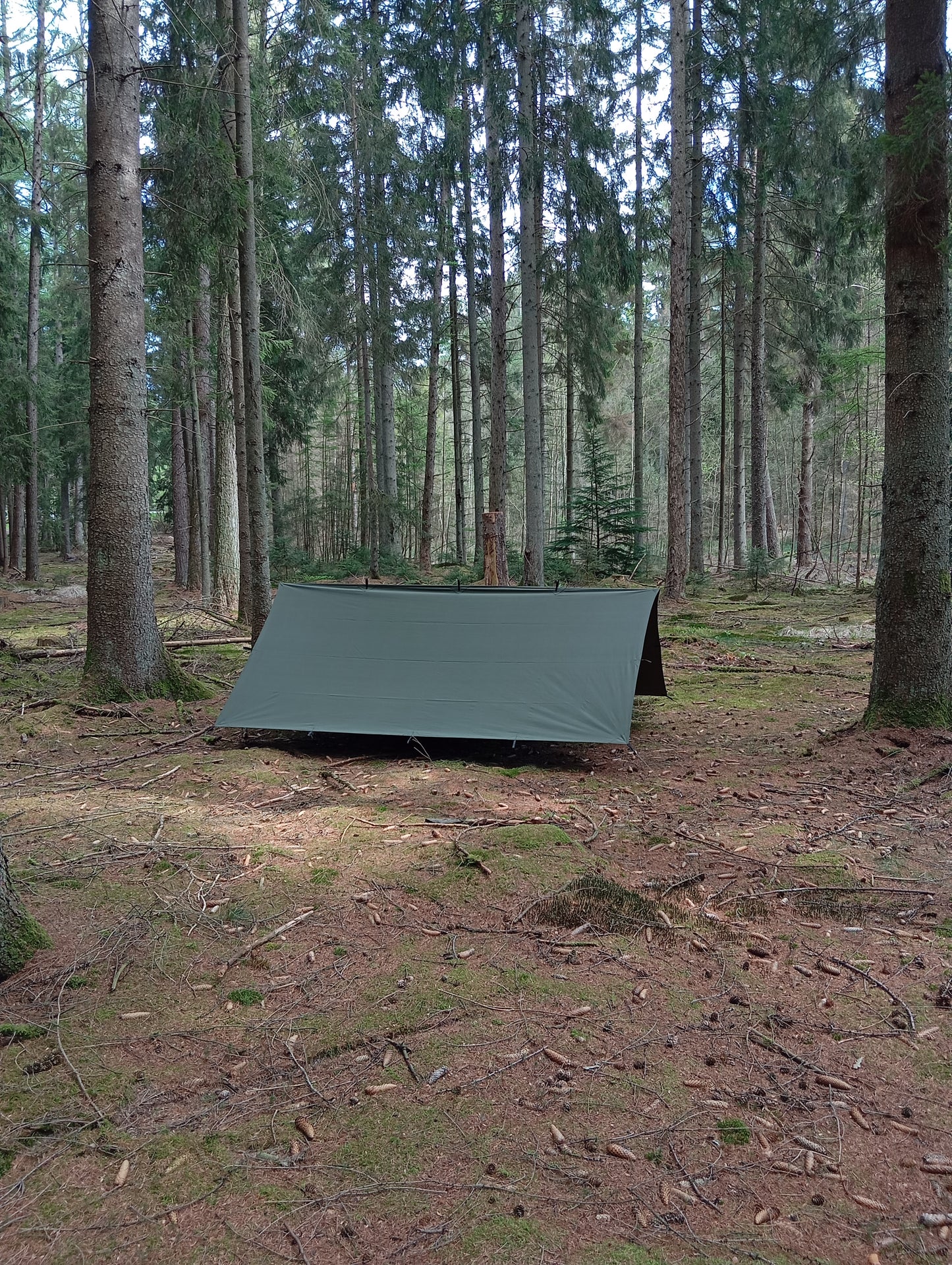 Tarp 3 x 3 Meter Canvas Baumwolle – Olivgrün