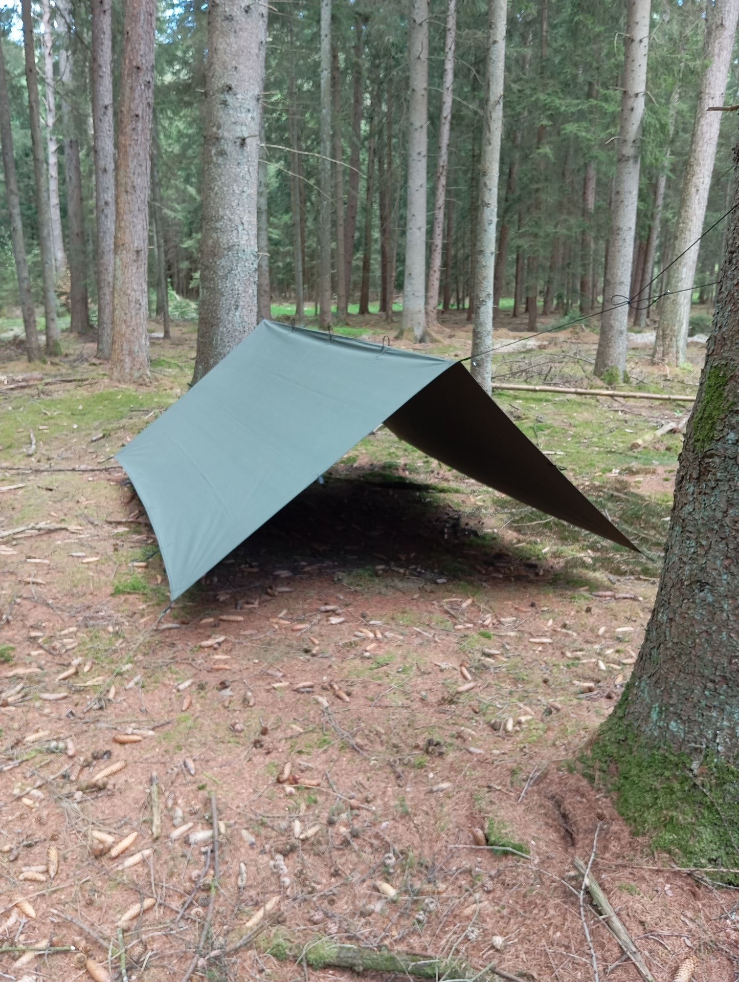 Tarp 3 x 3 Meter Canvas Baumwolle – Olivgrün