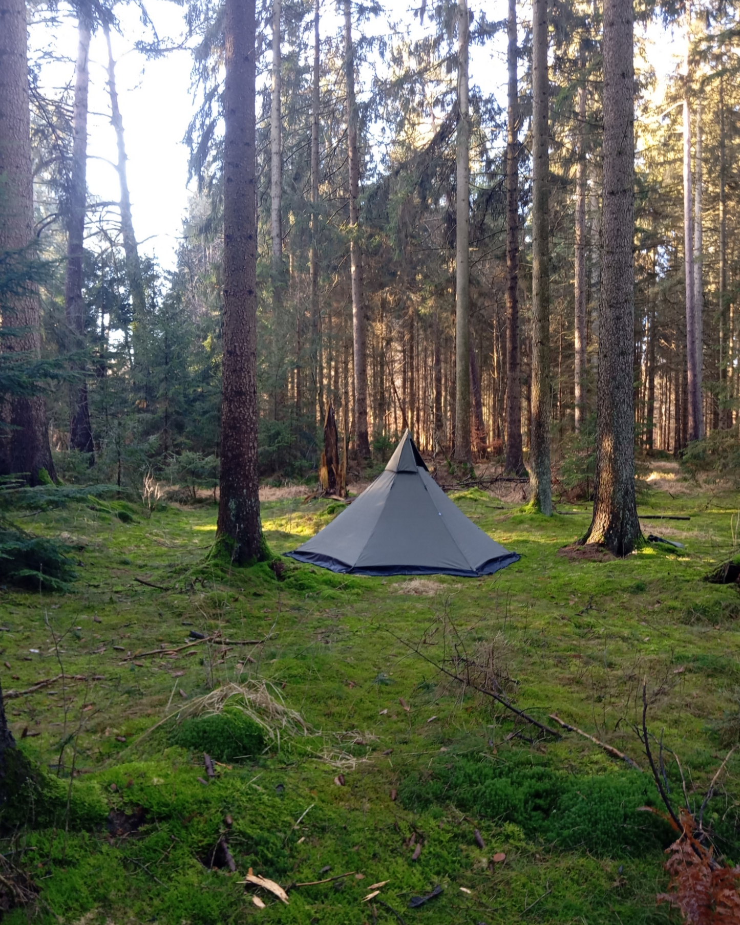 Nordic Wolf Canvas Tent 2P "RAIDO" - Olive Green