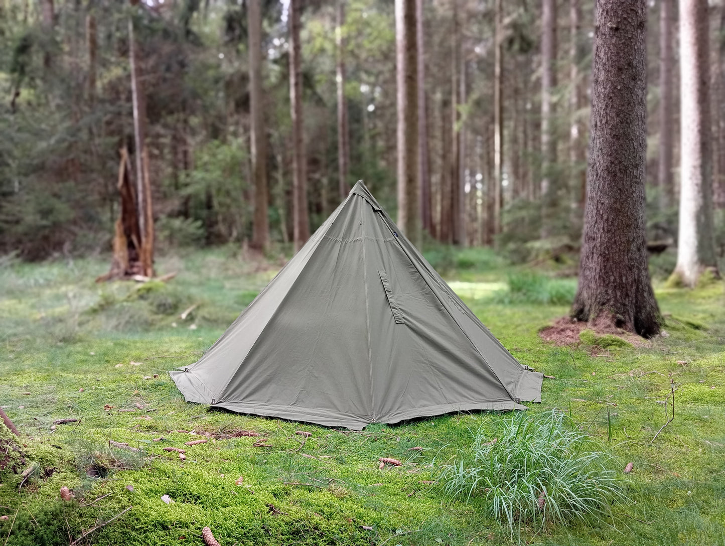 Lavvu tent "Fyn" canvas olive green for 2 people