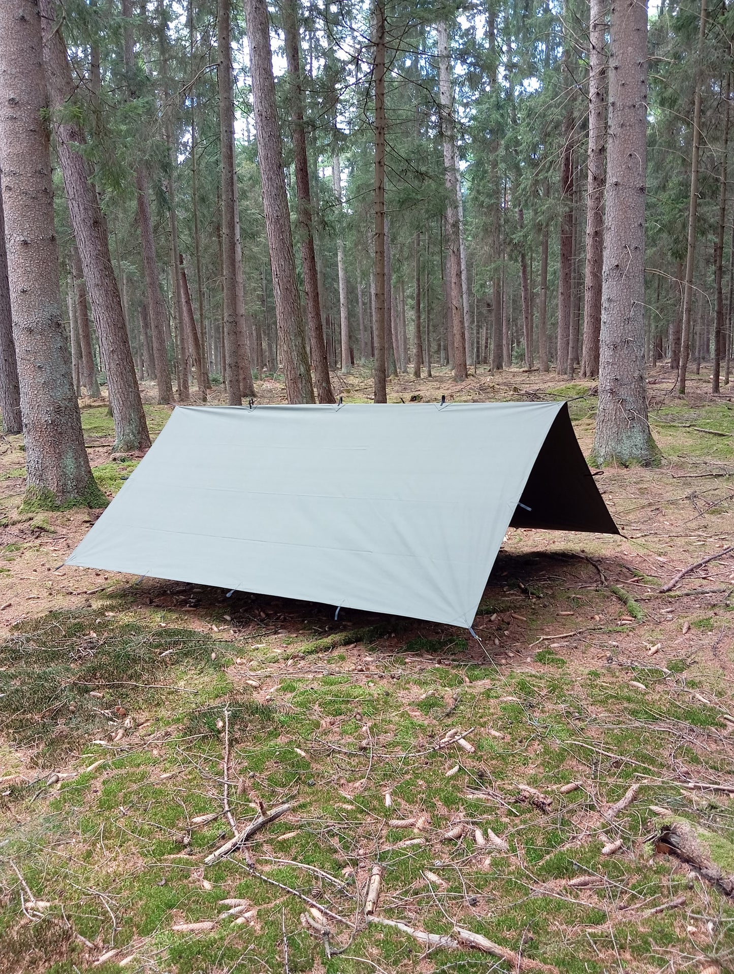 Tarp 3 x 3 Meter Canvas Baumwolle – Olivgrün