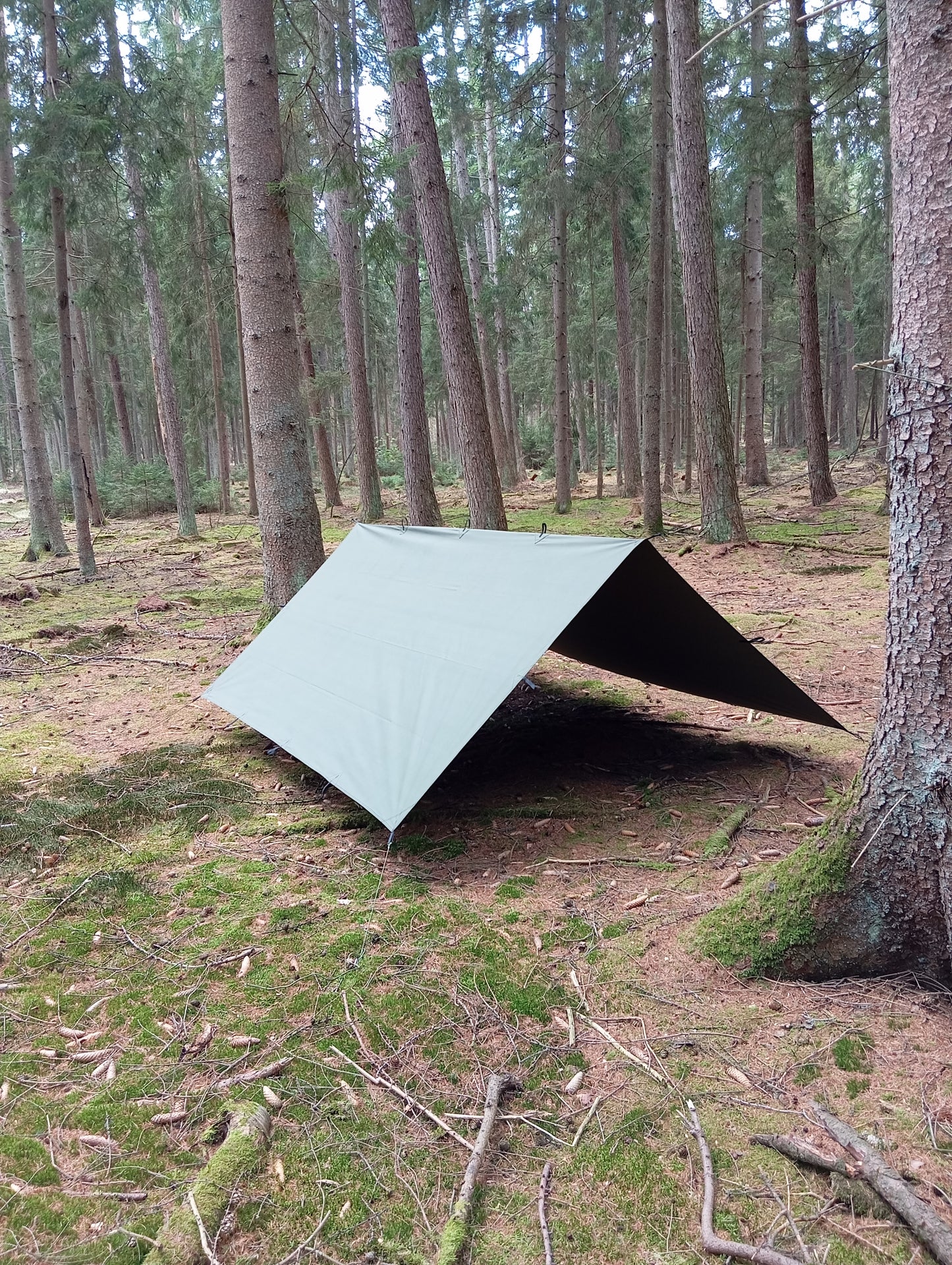 Tarp 3 x 3 Meter Canvas Baumwolle – Olivgrün