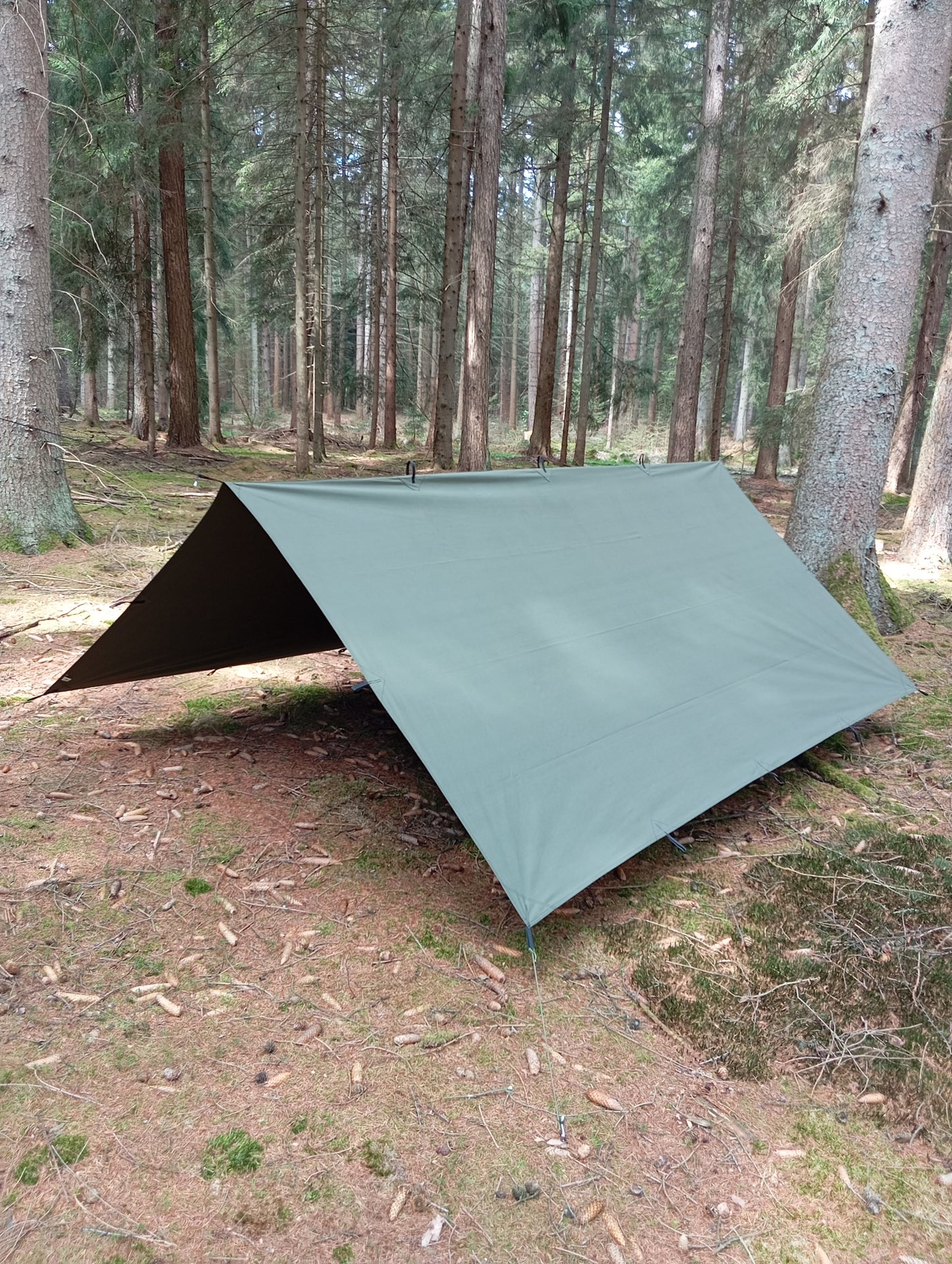 Tarp 3 x 3 Meter Canvas Baumwolle – Olivgrün